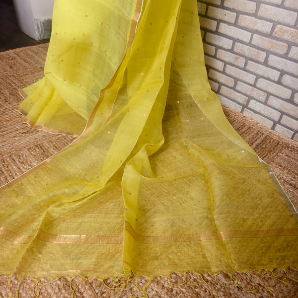 Vibrant Yellow Resham Silk Saree