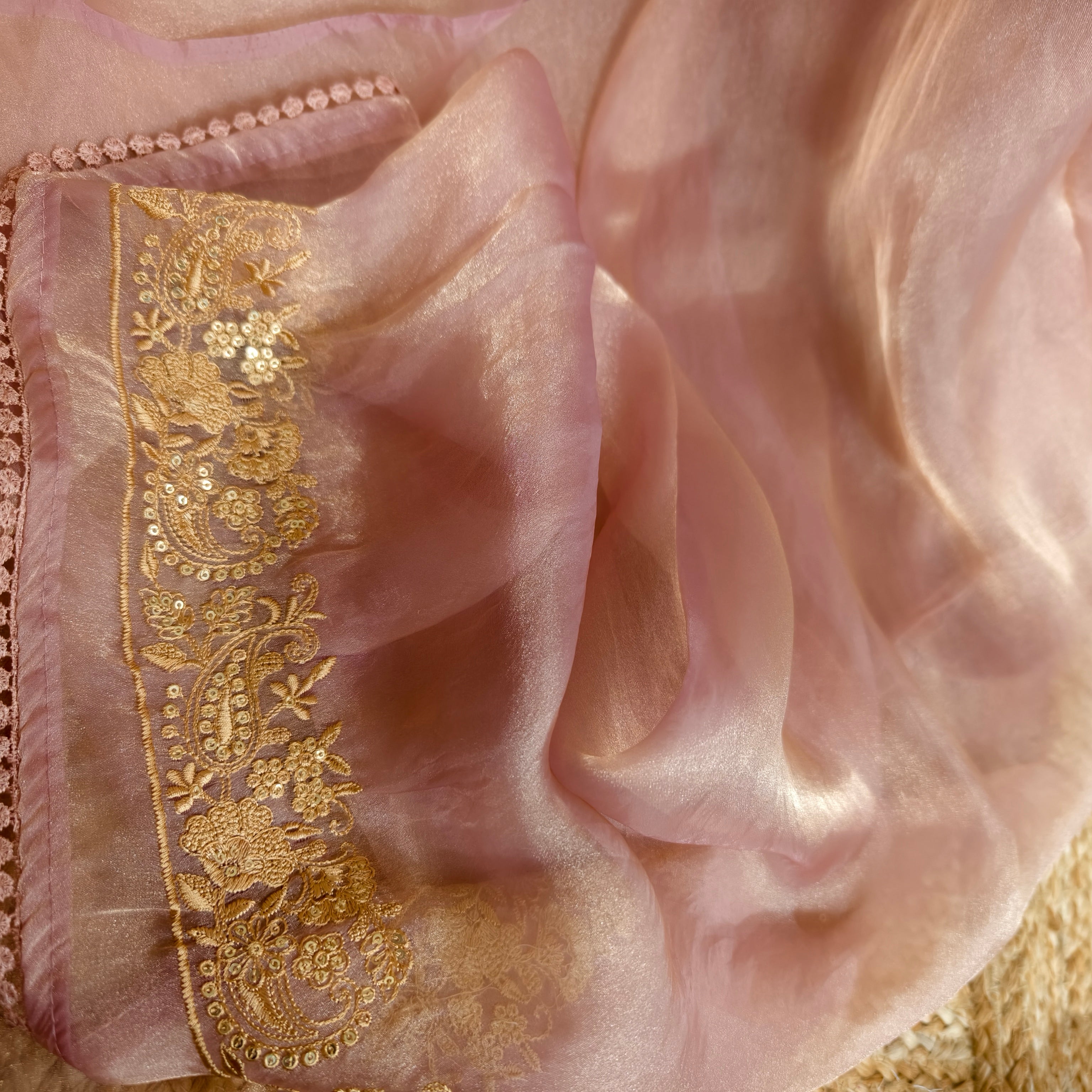 Peach Glass Tissue Organza Saree