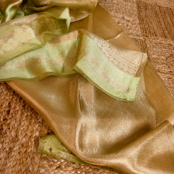 Beige Golden Silk Tissue Saree
