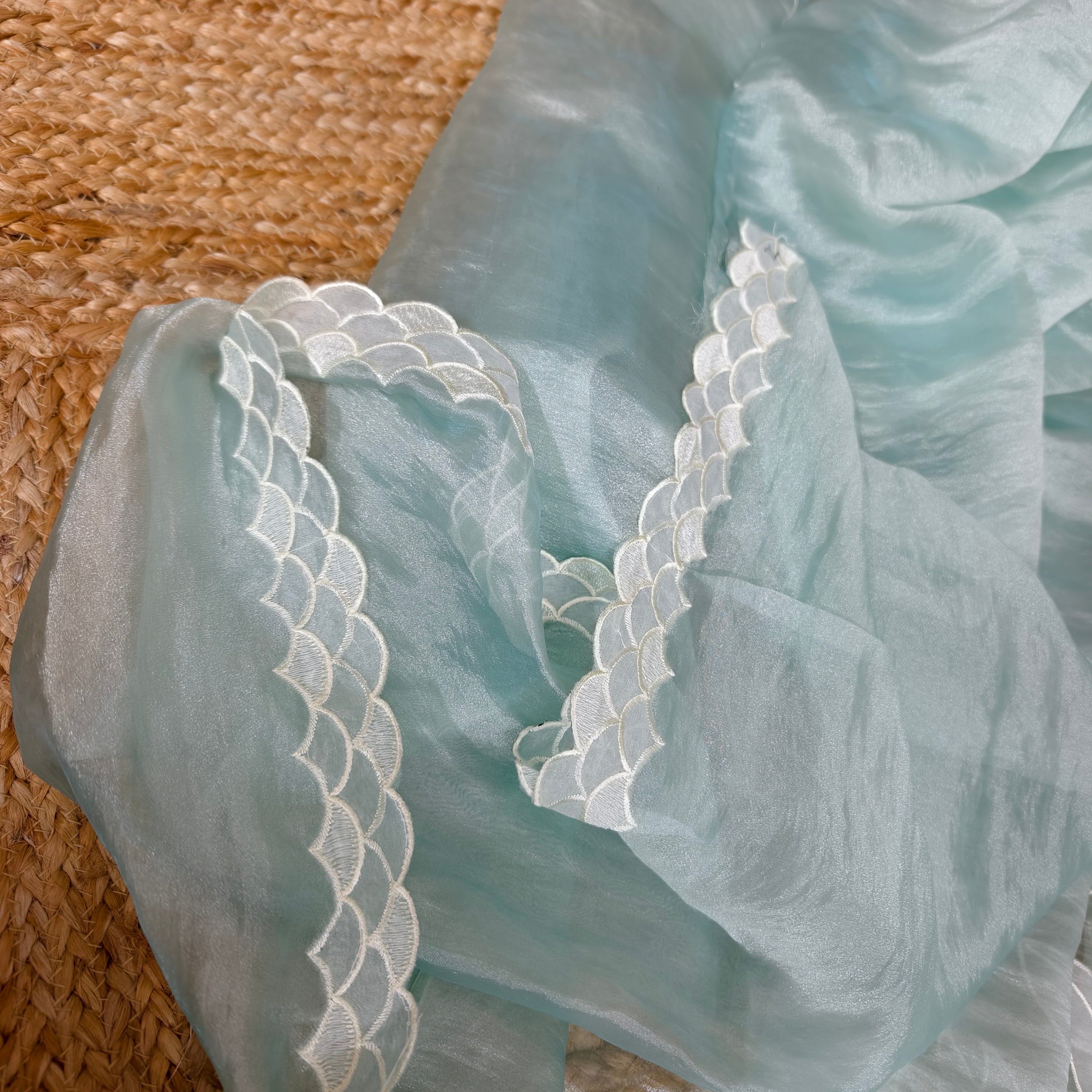 Pista Tissue Organza Saree