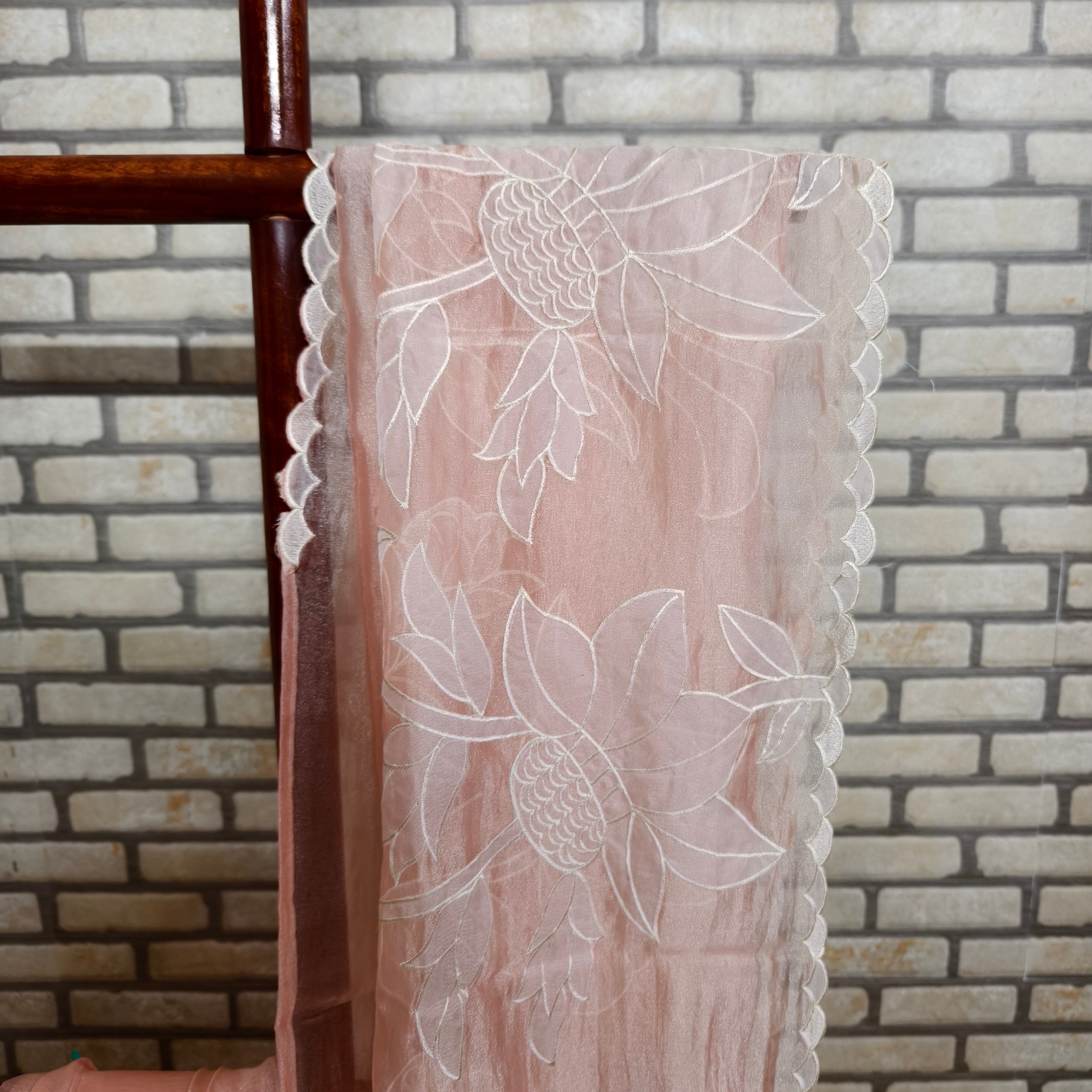Peach Tissue Organza Saree