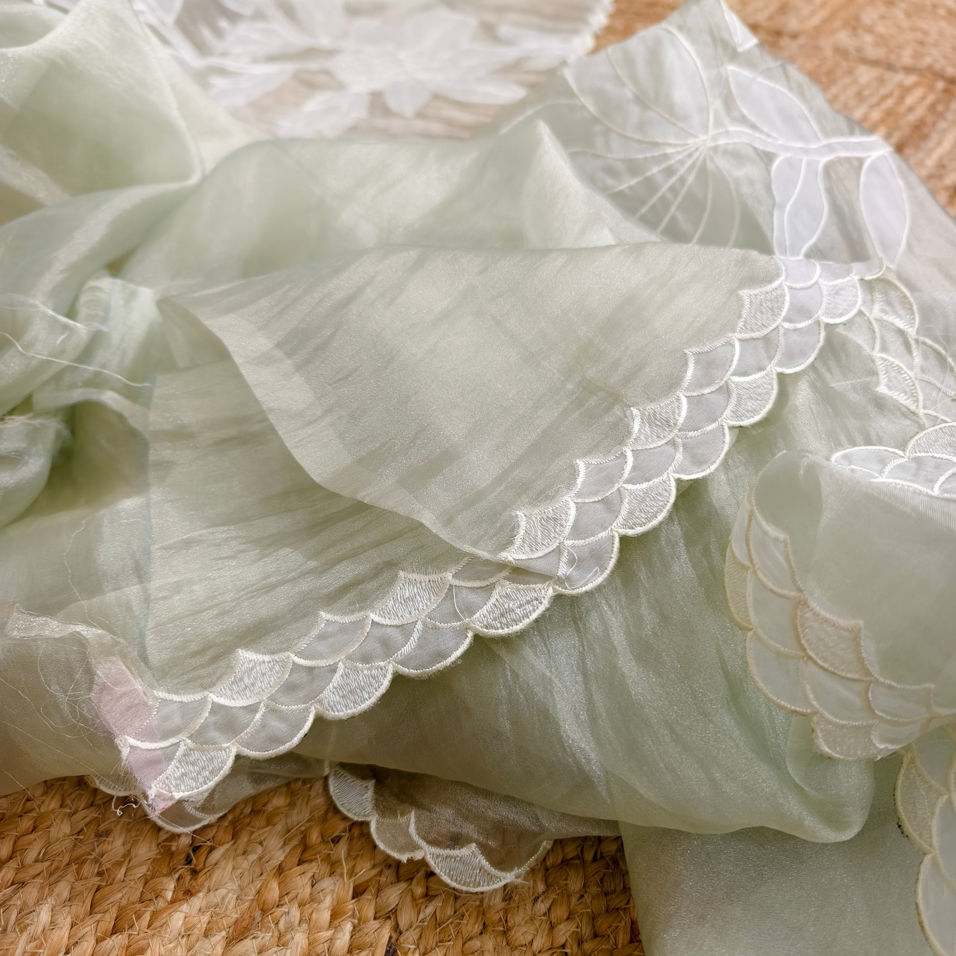 Faint Green Tissue Organza Saree