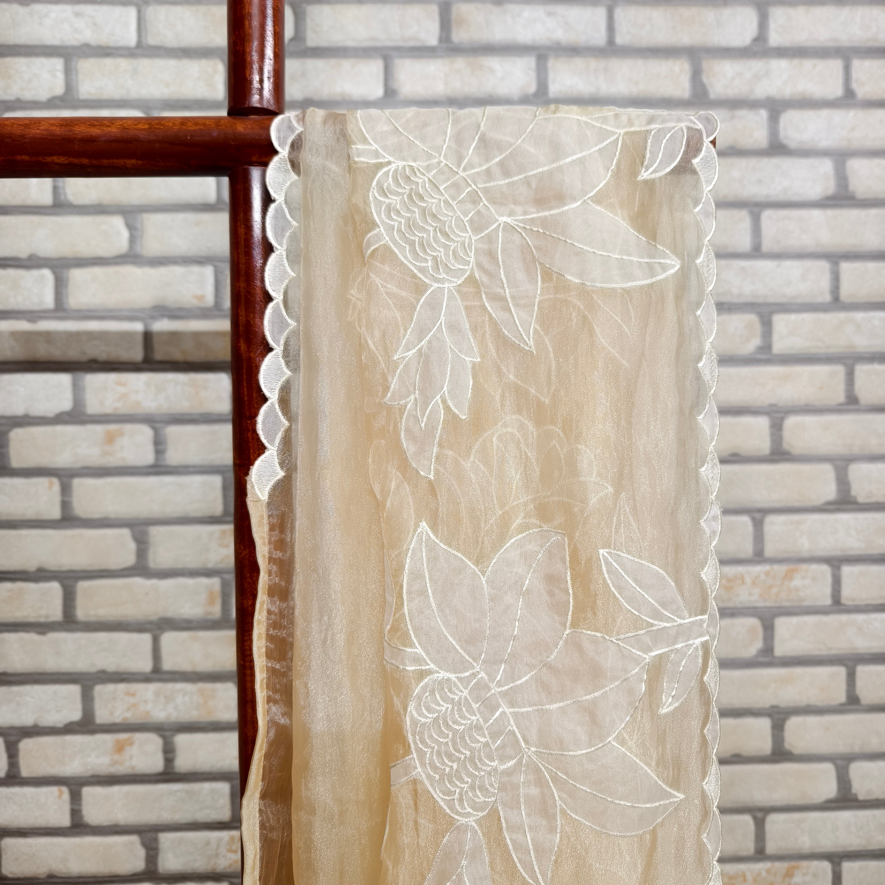 Beige Golden Tissue Organza Saree