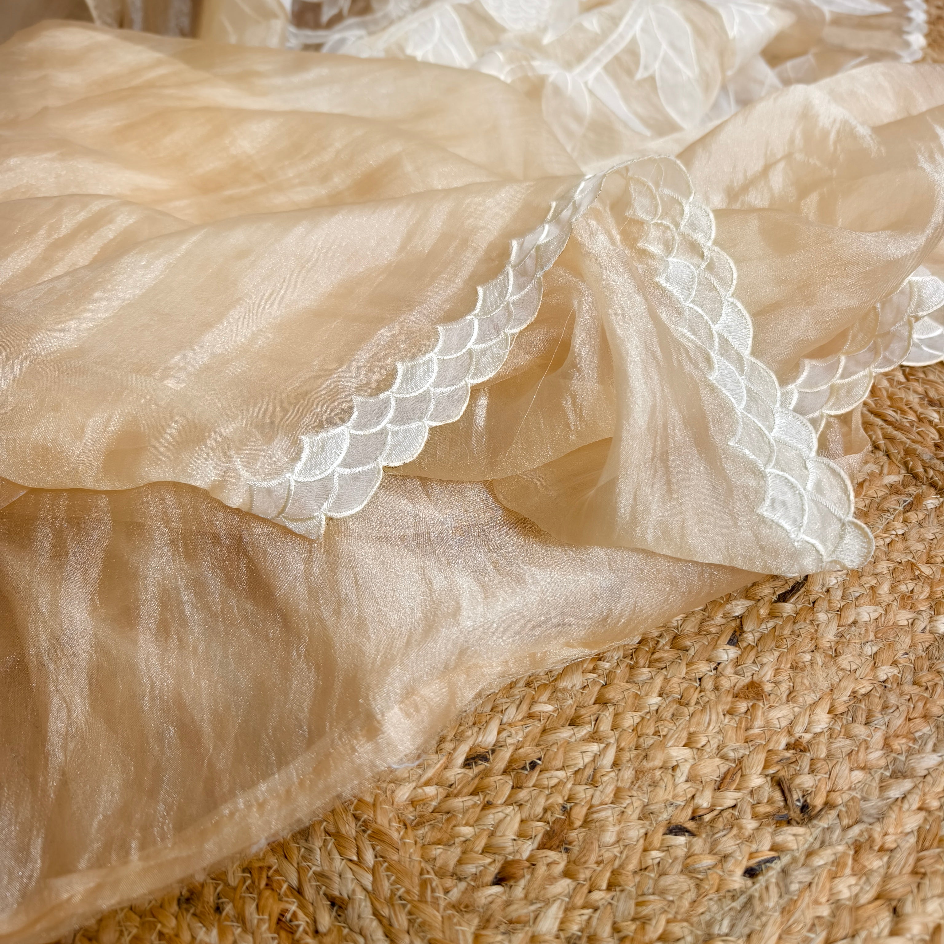 Beige Golden Tissue Organza Saree