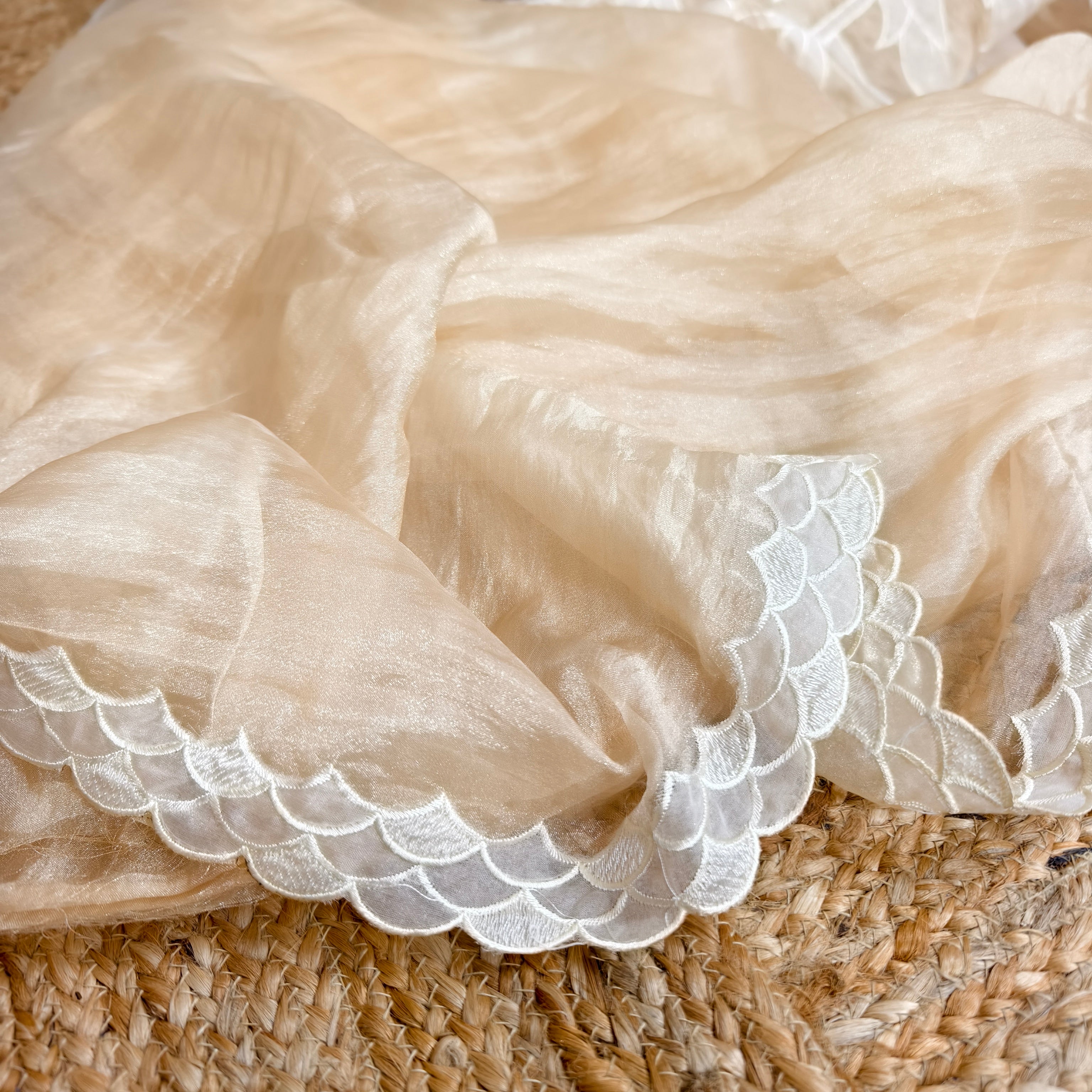 Beige Golden Tissue Organza Saree