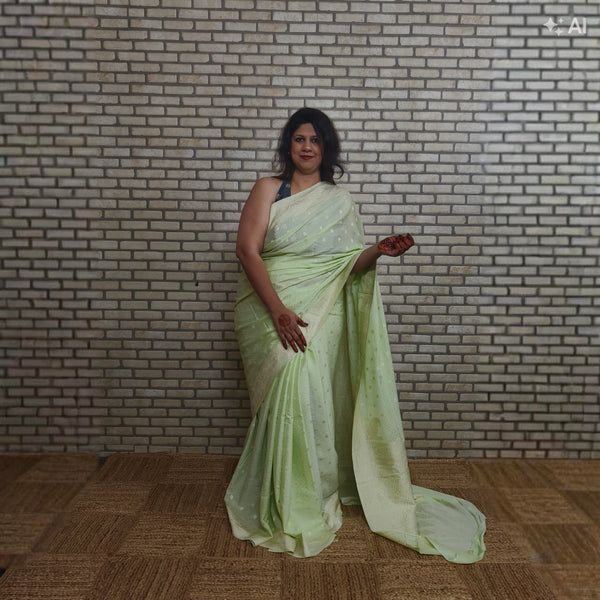 Pista Khaddi Georgette Saree