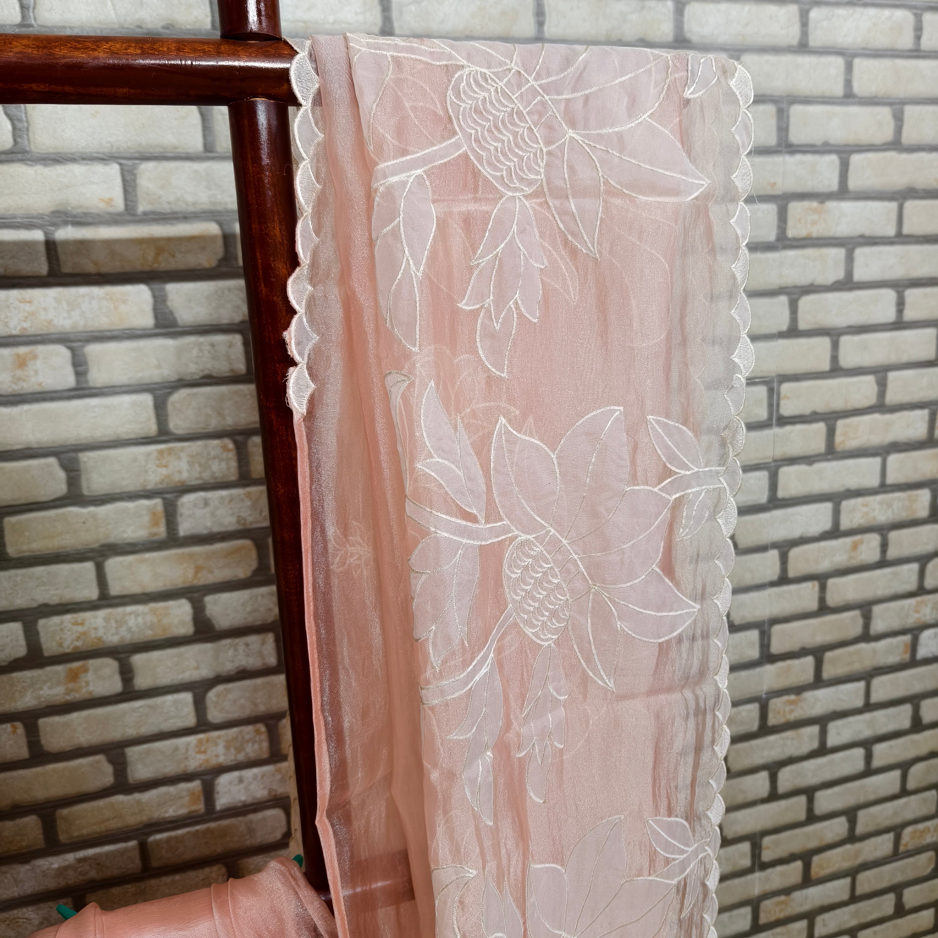 Peach Tissue Organza Saree