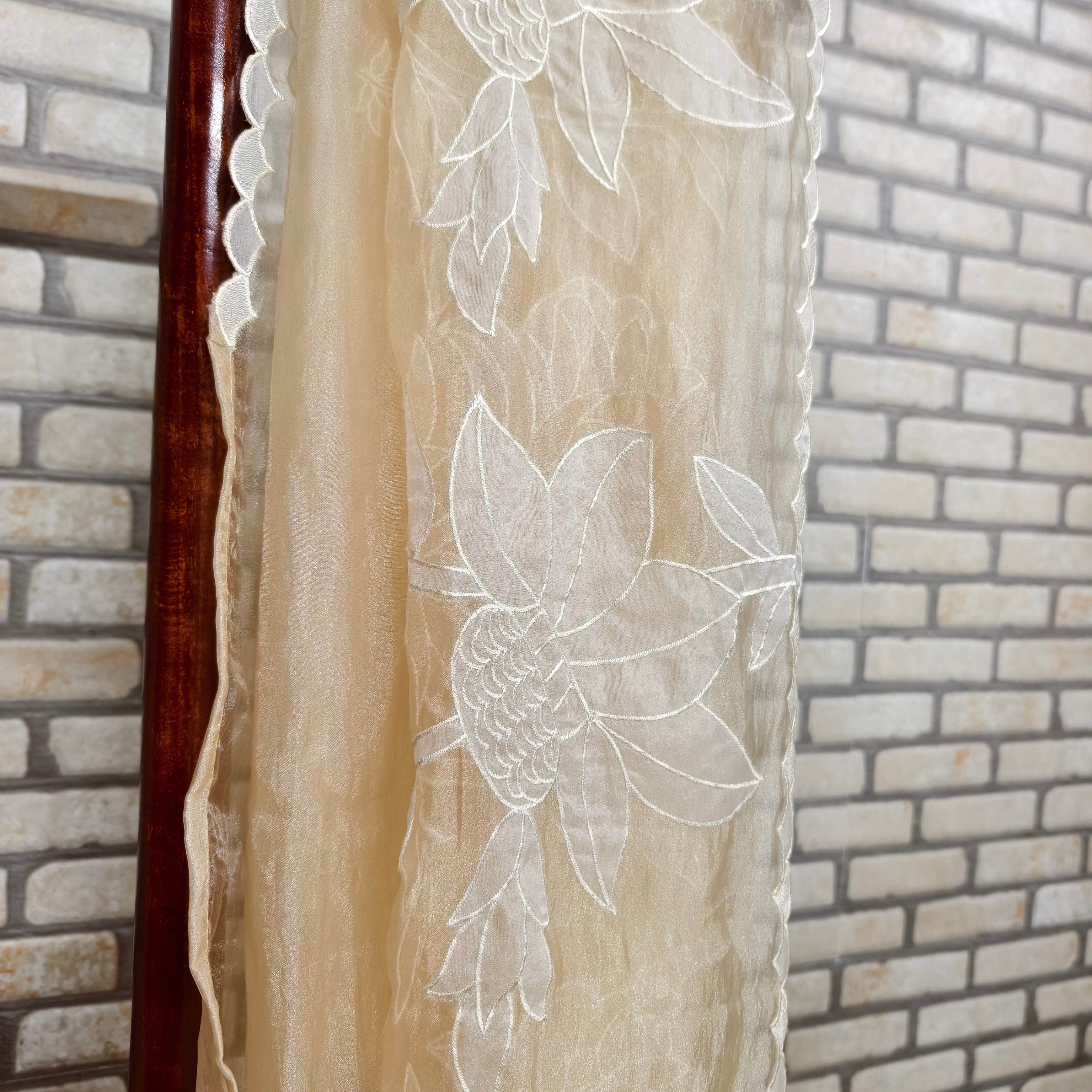 Beige Golden Tissue Organza Saree