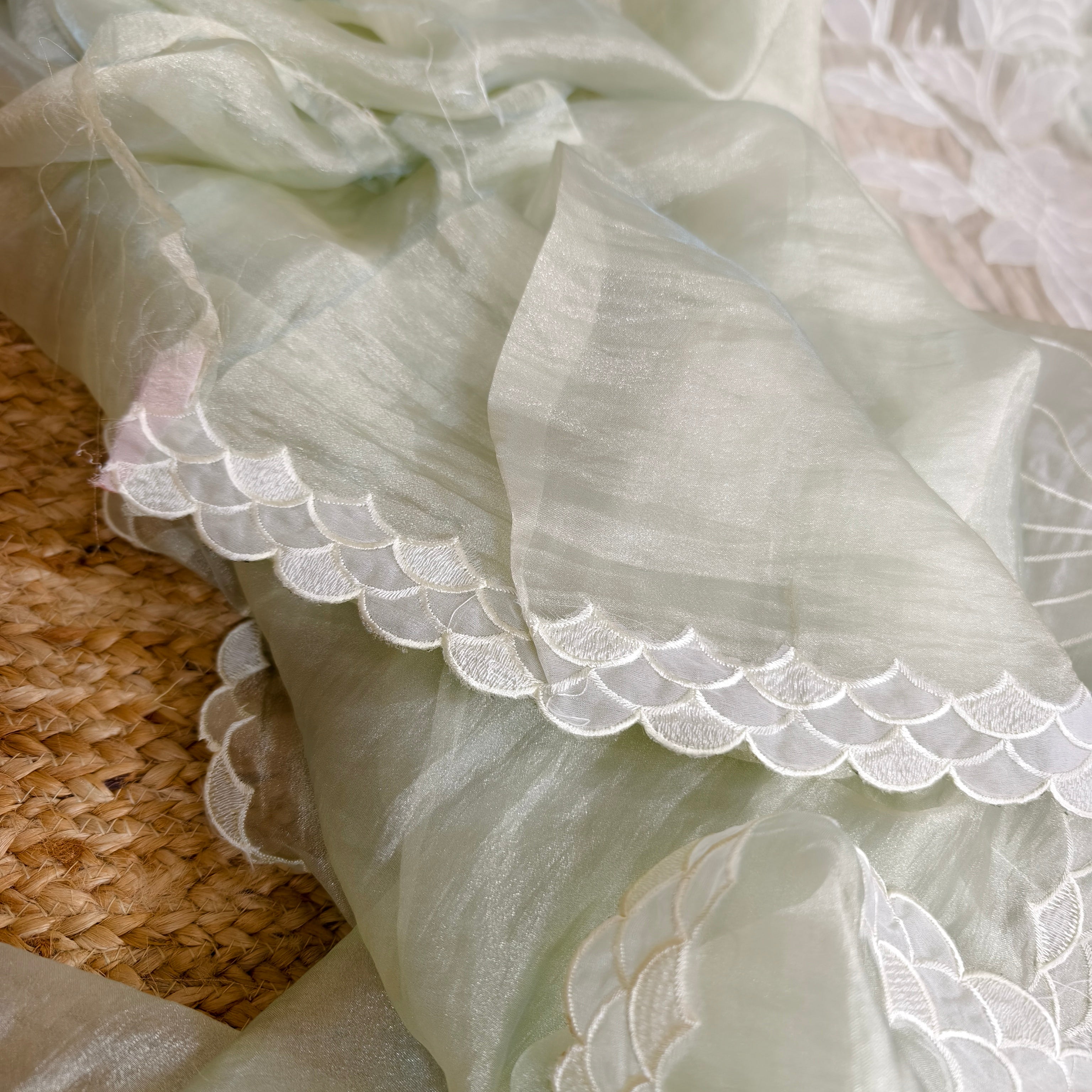 Faint Green Tissue Organza Saree